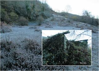 Por los praos de Vil.lar de Cinfuegos y Las Chanas