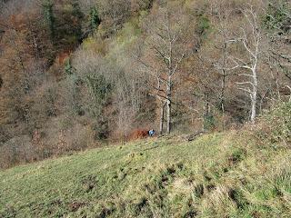 Por los praos de Vil.lar de Cinfuegos y Las Chanas