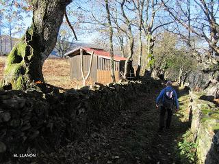 Por los praos de Vil.lar de Cinfuegos y Las Chanas