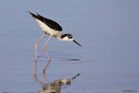 Salida con el COA Las Garzas