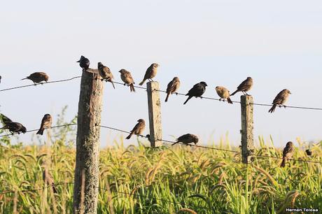 Salida con el COA Las Garzas