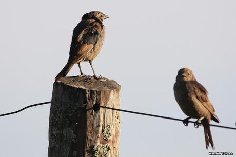 Salida con el COA Las Garzas