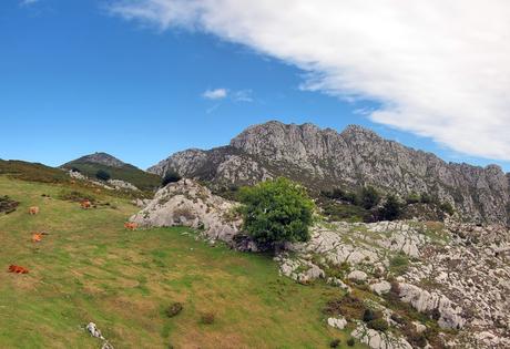 PEÑA CRESPA O LOS TORNOS DESDE ORLÉ