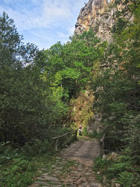 PEÑA CRESPA O LOS TORNOS DESDE ORLÉ