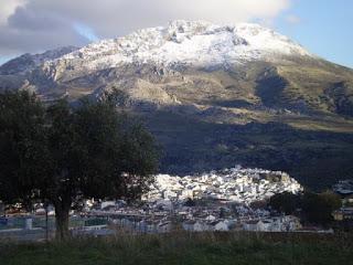 SOPA DE LOS SIETE RAMALES