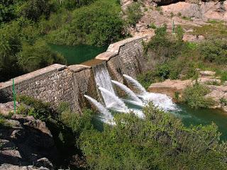 SOPA DE LOS SIETE RAMALES