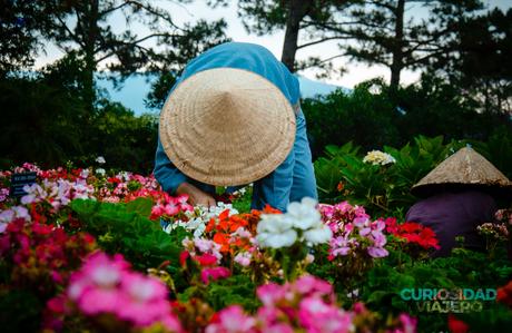 dalat vietnam