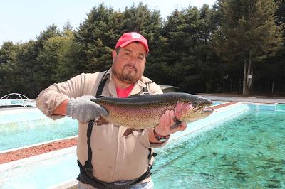 SATISFACEN ACUACULTORES MEXIQUENSES DEMANDA DE PRODUCTO PESQUERO PARA LA CUARESMA