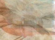 Test: primer animal veas esta foto revelará clase persona eres