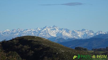 Picos de Europa desde Muncó, Siero