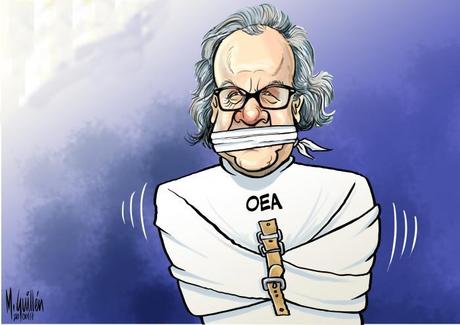 El actual Secretario General de la oea debería ser tratado por su obsesión con derrocar al Gobierno legítimo de Venezuela. 