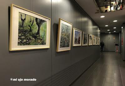 Un poco más que agua. Expodistrito Bilbao. Centro de Rekalde