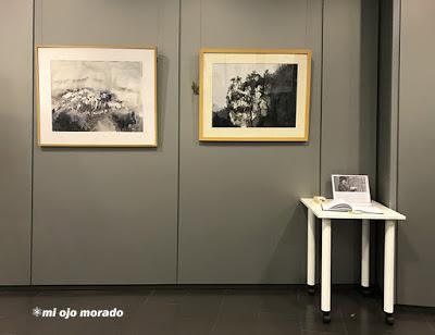 Un poco más que agua. Expodistrito Bilbao. Centro de Rekalde