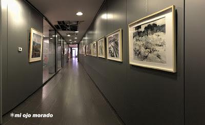 Un poco más que agua. Expodistrito Bilbao. Centro de Rekalde