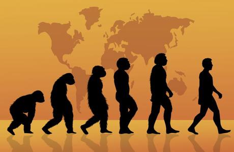 5 Misterios de la evolución del hombre
