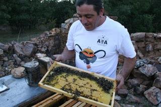 Apicultura en Guadalajara: la asignatura pendiente de la profesionalización