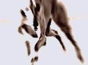 ¡Corre! Santiago Carabias