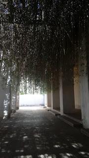 Un museo sin arte: mil rugidos de aburrimiento