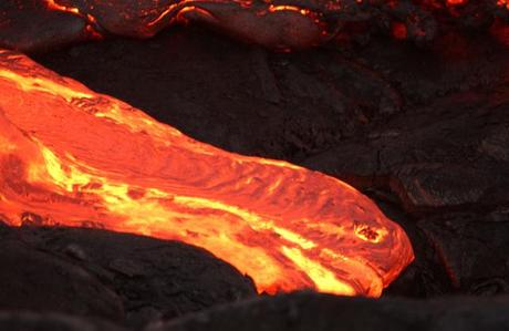 Las 5 extinciones masivas Las 5 extinciones masivas