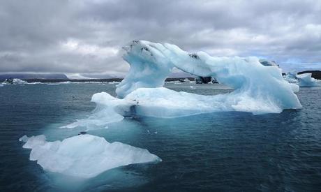 Las 5 extinciones masivas Las 5 extinciones masivas
