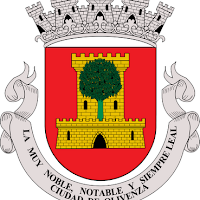 FORTIFICACIONES ABALUARTADAS. EL PAPEL DE OLIVENZA EN LA ...