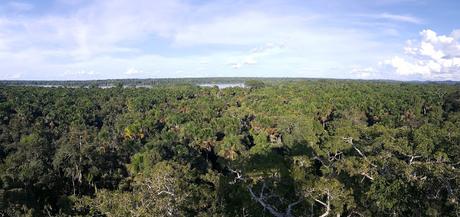 Parque Nacional Yasuní