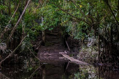 Parque Nacional Yasuní