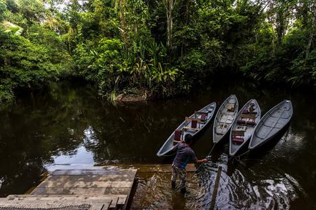 Parque Nacional Yasuní