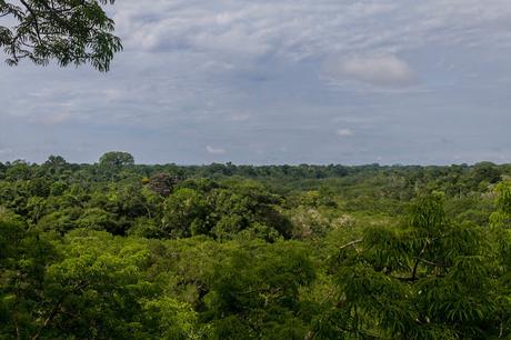 Parque Nacional Yasuní