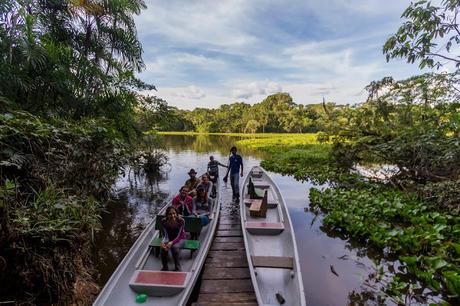 Parque Nacional Yasuní