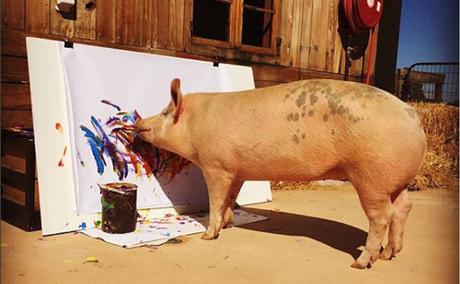 Pigcasso: la adorable cerda que hace pinturas valoradas en miles de dólares