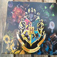 NUEVA ENTRADA DE ENCARGOS ESCENA DE MINIATURA DE HARRY PO...