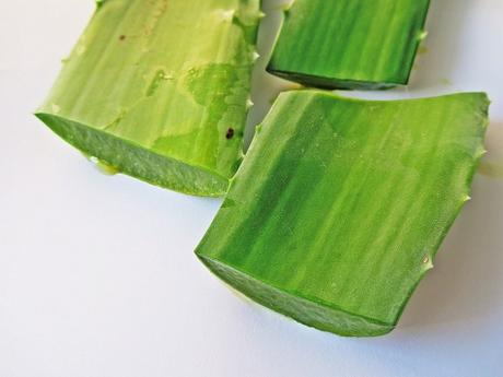 Los 10 mejores suplementos de aloe vera Si hay una planta... aloe vera