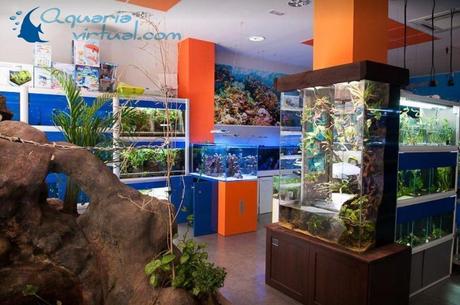 Aquaria Virtual, 10 años de experiencia de venta online en el mundo del acuario