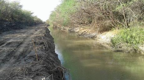 INDRHI rehabilita canal de proyecto de cultivo de mango en Baitoa Seca de Neiba.