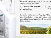 España, mayor productor alimentos ecológicos también químicos tóxicos