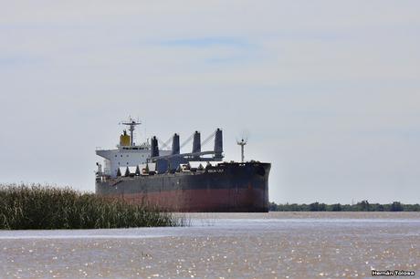 Paraná Guazú (enero 2018)