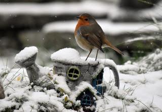 UN INVIERNO SIN NIEVE...