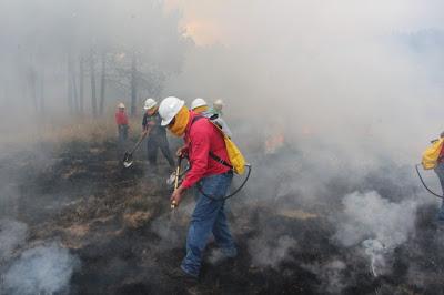 EDOMÉX ENTRE LOS CINCO ESTADOS EN DETECTAR Y ATENDER CON MAYOR RAPIDEZ INCENDIOS FORESTALES