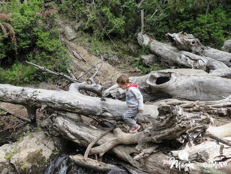 Sendero a la Cascada Ñivinco, un buen plan familiar