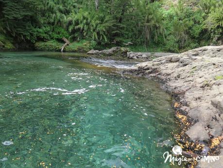 Sendero a la Cascada Ñivinco, un buen plan familiar