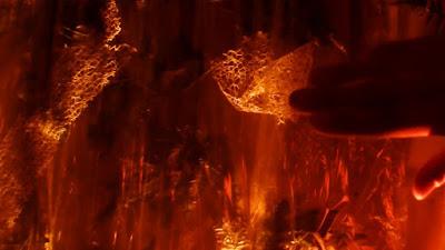 Alondra Galopa: Despierta Tus Sentidos es su nuevo vídeo/single