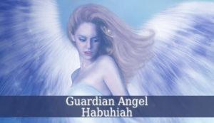 Guardian-Angel-Habuhiah