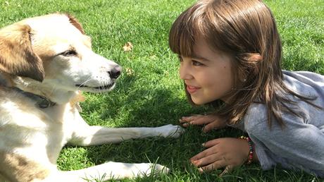 10 razas de perro más adecuadas para la convivencia con niños pequeños