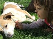 razas perro adecuadas para convivencia niños pequeños