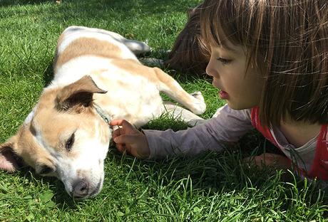 10 razas de perro más adecuadas para la convivencia con niños pequeños