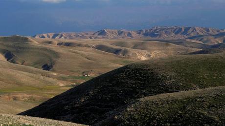 8 inolvidables fotografías de la primavera en Israel