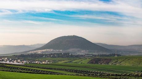 8 inolvidables fotografías de la primavera en Israel