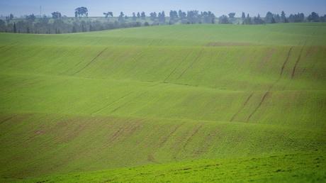 8 inolvidables fotografías de la primavera en Israel