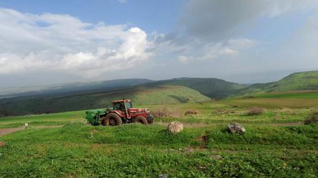 8 inolvidables fotografías de la primavera en Israel